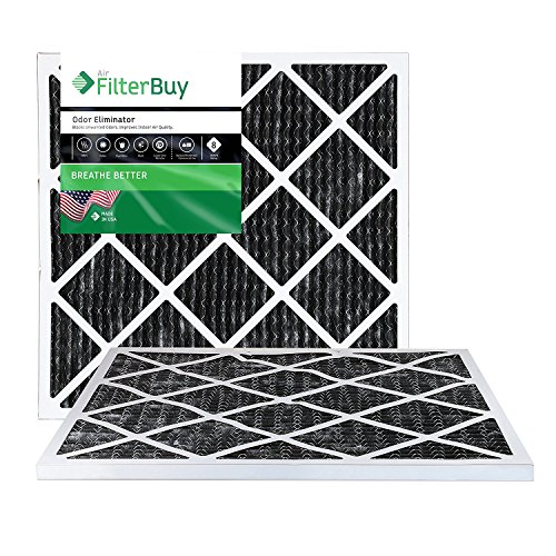 Filterbuy 20x20x1 Air Filter MERV 8 Odor & Allergy Defense with Activated Carbon (2-Pack), Electrostatic Pleated HVAC AC Furnace Filters Replacement, Made in USA (Actual Size: 19.50 x 19.50 x 0.75)