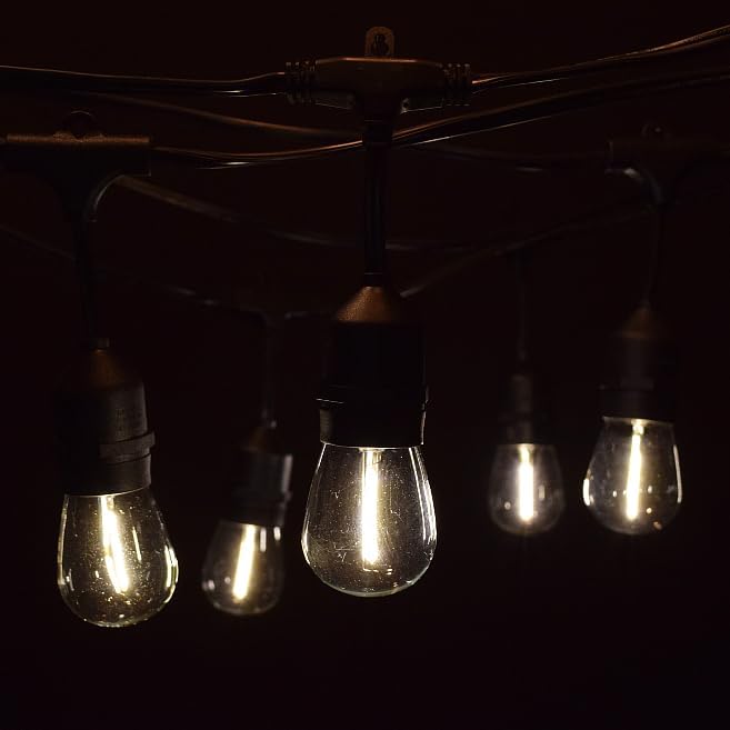 Hometown Evolution 24 ft String Lights