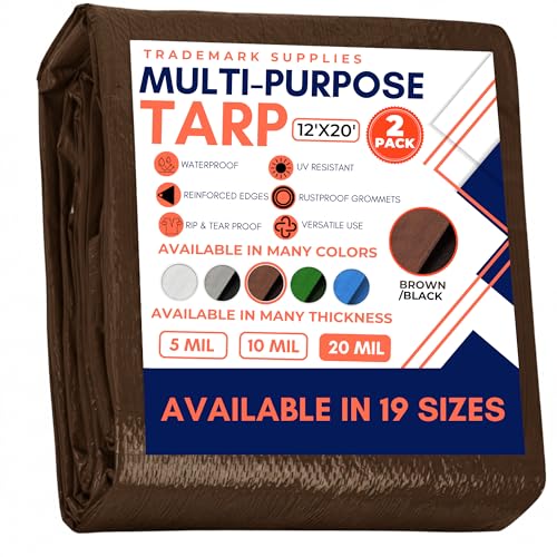 Large Waterproof Tarp - Heavy Duty 20 Mil Thick Poly Tarpaulin Ideal for Canopy Tents, Boats, RV or Pool Covers - Multipurpose Protective Tarps with Grommets for Indoor, Outdoor Use | 12' x 20' 2 Pack