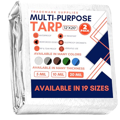 Trademark 12' x 20' 20 mil (2pk)