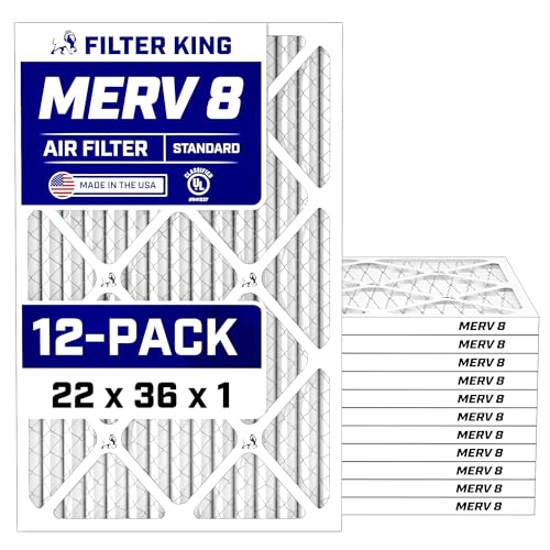 Filter King MERV 8 22x36x1