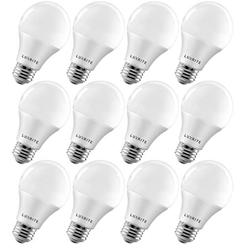 Smart Outdoor Bulbs vs Smart Floodlights vs Smart String Lights (2026 Comparison)