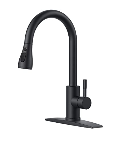 FORIOUS Black Kitchen Faucet (High Arc)