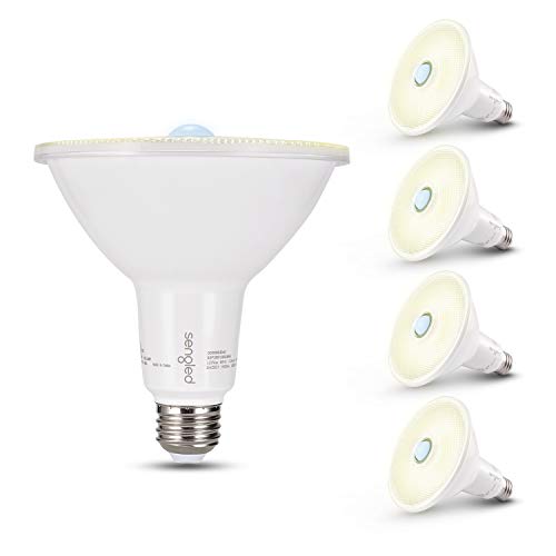 Best Outdoor LED Bulbs for Porches & Pergolas (2026 Guide)
