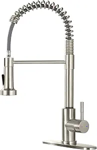 ARRISEA Pull Down Faucet (with 10" deck plate)