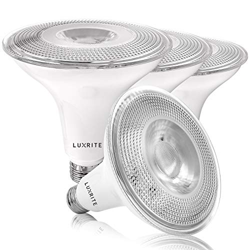 LUXRITE PAR38 Outdoor Flood