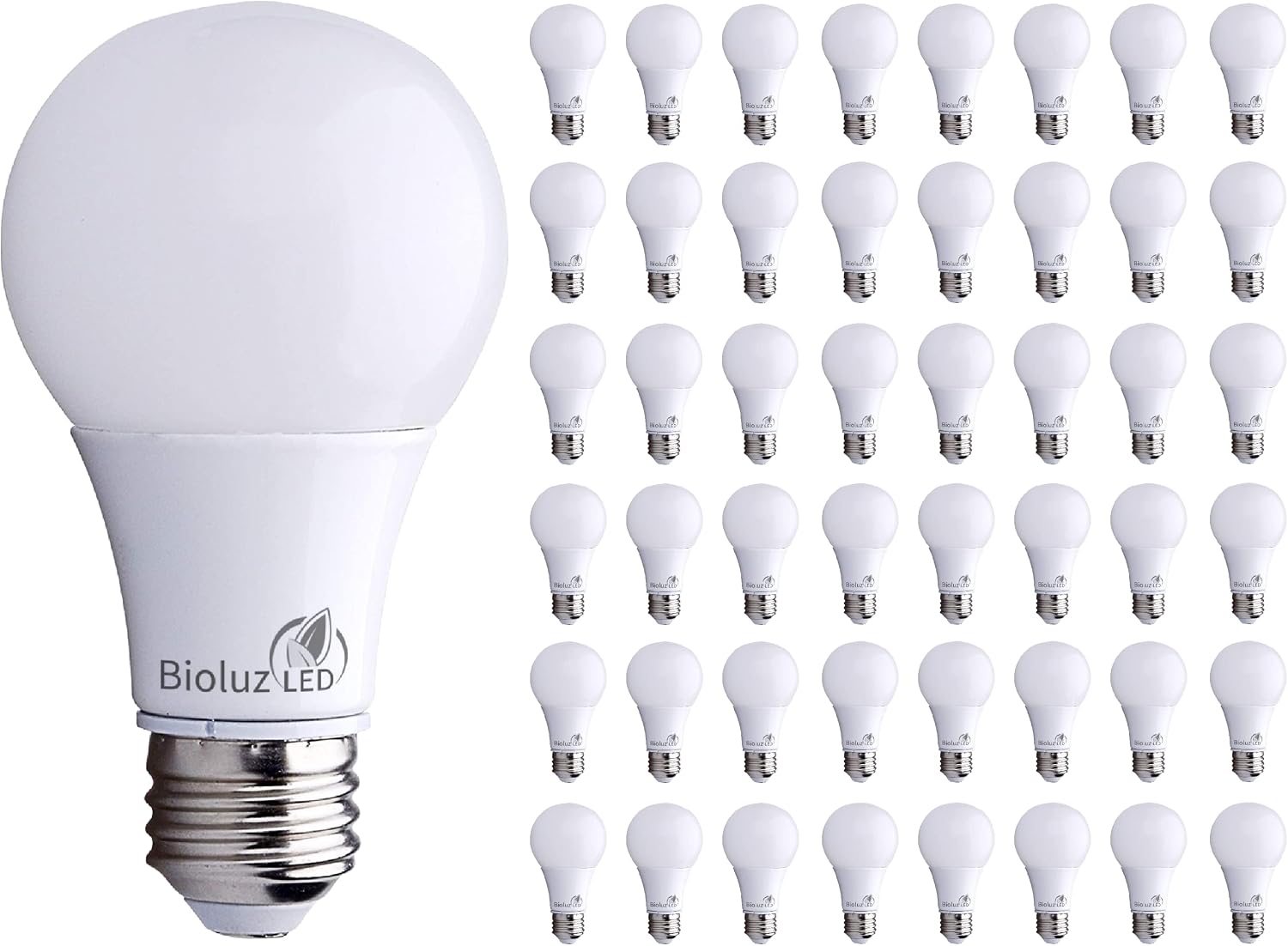 Bioluz LED 6W A19 (3000K) — Top Pick