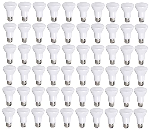 Bioluz 60 Pack 6W 5000K BR20