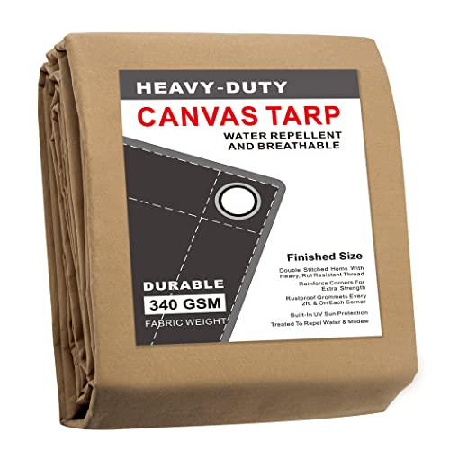 CARTMAN 7x9 Tan Canvas