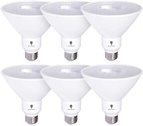 Bluex Bulbs PAR38 6-Pack
