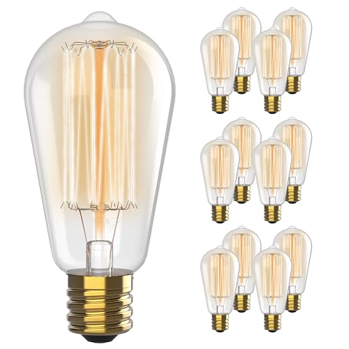 HUDSON BULB CO. Vintage Edison Incandescent 60W (12-Pack)