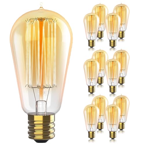 Hudson Bulb Co. Vintage Incandescent ST58 12-Pack