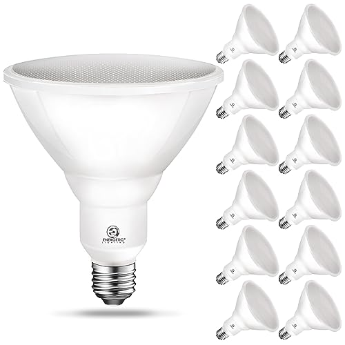 Energetic PAR38 LED Flood (5000K)