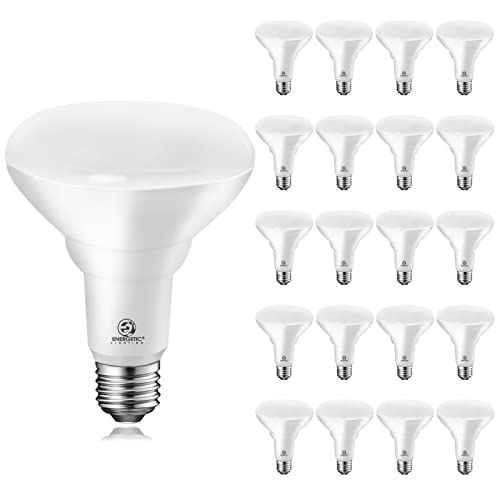 Energetic BR30 LED Recessed Light Bulb