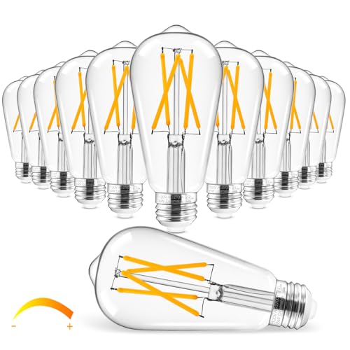 Hizashi Vintage LED Edison Bulb 12-Pack