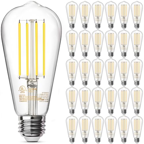 TJOY 30 Pack E26 Vintage LED Edison Light Bulbs