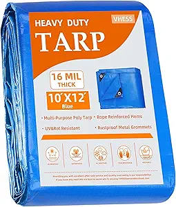 Best Tarp Tie-Downs and Anchors Under $30 (2026 Budget Guide)