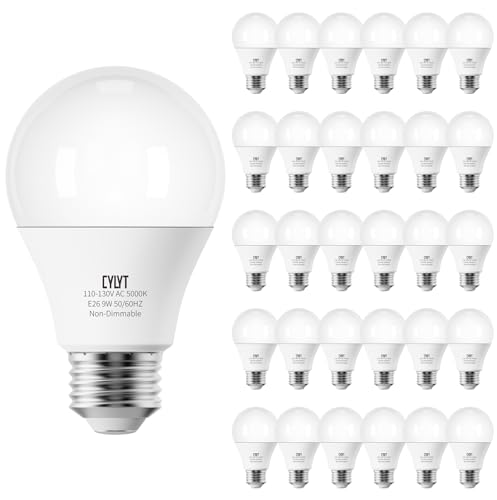 Bright 1500 lm A19 (CYLYT)