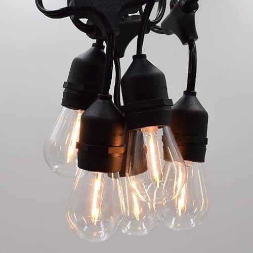 Hometown Evolution 100' S14 LED (50 bulbs)