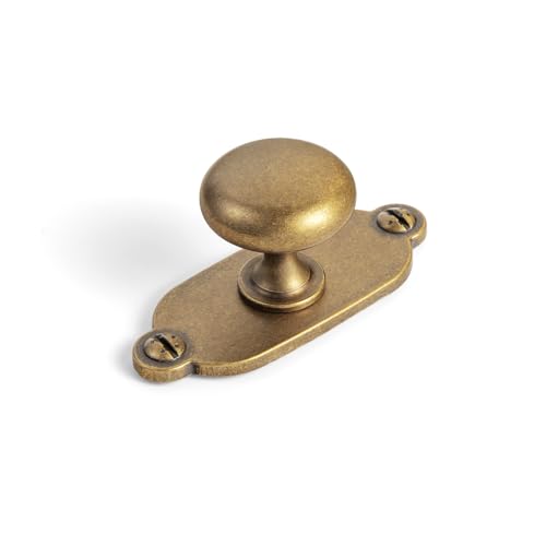 Goo-Ki Antique Brass Zinc Alloy Cabinet Knob with Backplate
