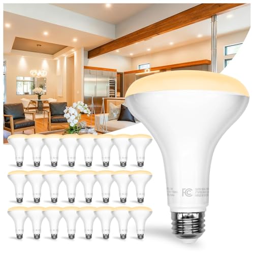 DAYBETTER BR30 led Light Bulb, Dimmable LED Bulbs 65W Equivalent, 2700K Warm White Light Bulbs Indoor Flood Light for Bedroom Kitchen Living Areas Hallway, 800 Lumens, E26 Standard Base, 24 Pack
