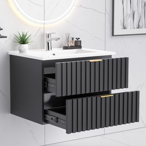 24 Inch Bathroom Vanity with Sink Combo (Black)
