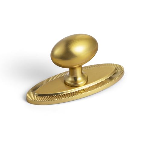 Goo-Ki Brushed Gold Backplate Knob (6-pack)