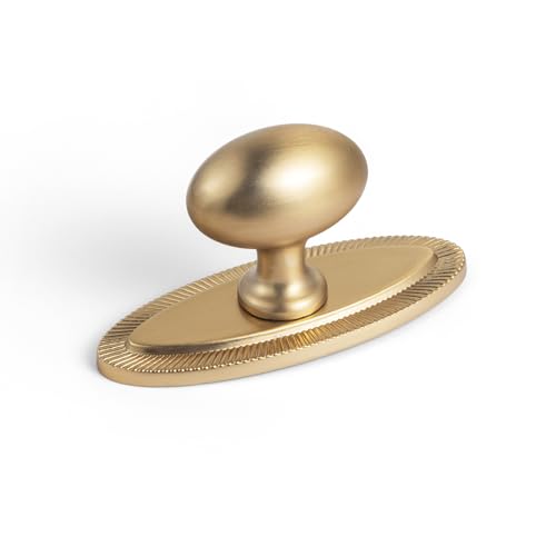Goo-Ki Champagne Bronze Cabinet Knobs(Ellipsoid) with Backplate(Oval Shape),Zinc Alloy Cabinet Hardware for Kitchen Cupboard,Dresser & Drawer,6 Packed
