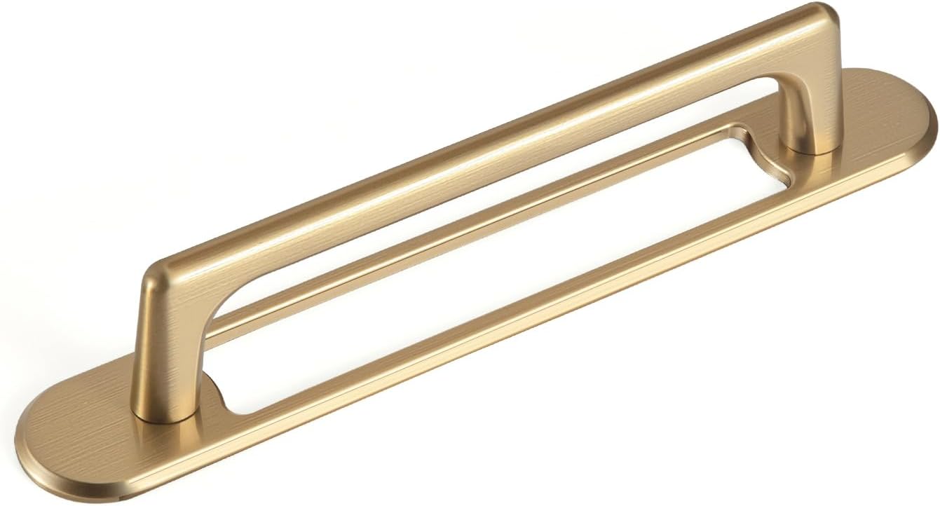Goo-Ki Champagne Bronze Pulls w/ Backplate