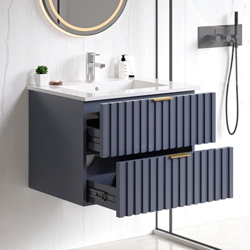24 Inch Bathroom Vanity with Sink Combo (Blue)
